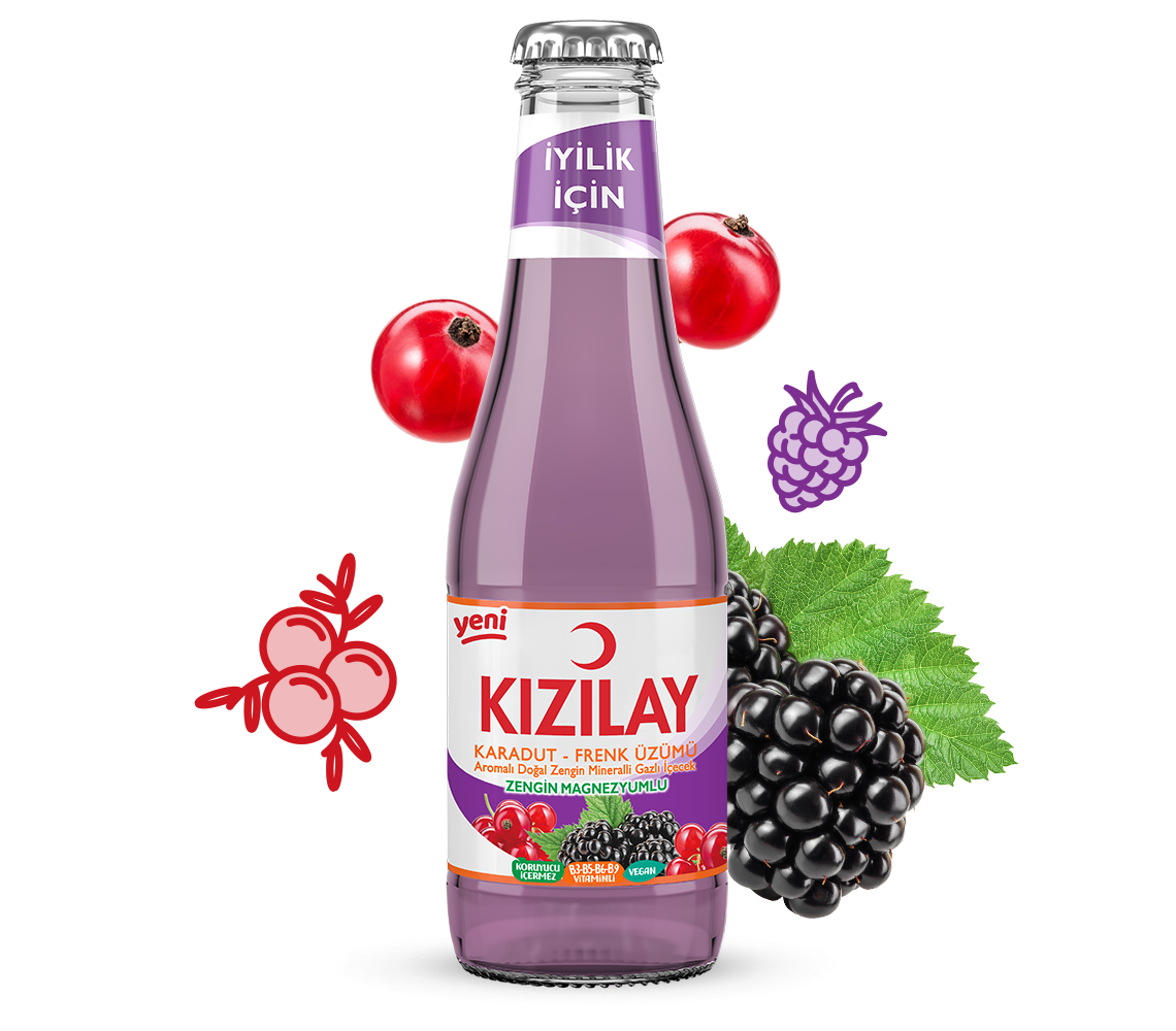 KIZILAY KARADUT FRENK ÜZÜMÜ